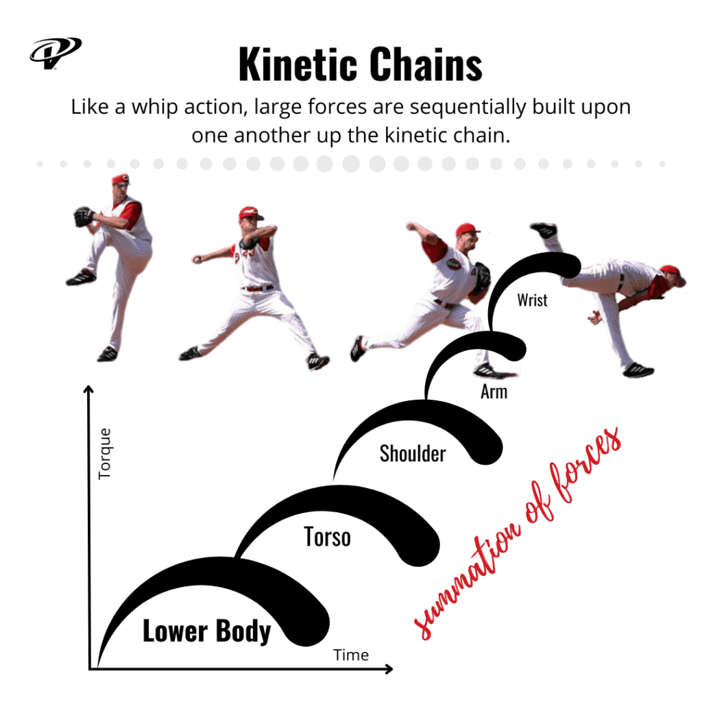The kinetic chain in overhead athletes produces high velocity through a summation of forces