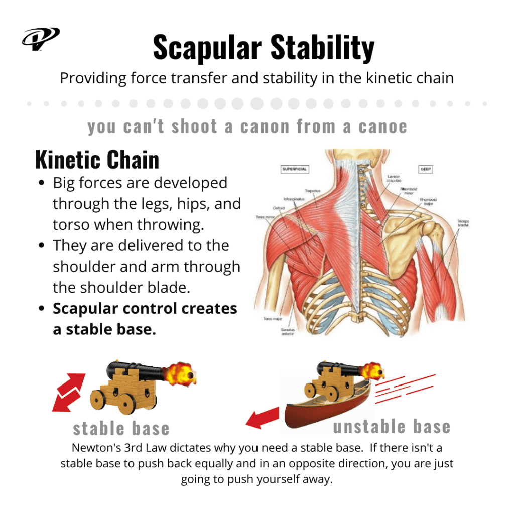 Scapular control for stability